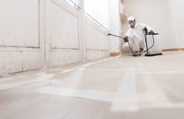 24/7 Emergency Mold Removal experts in Norfolk, MA